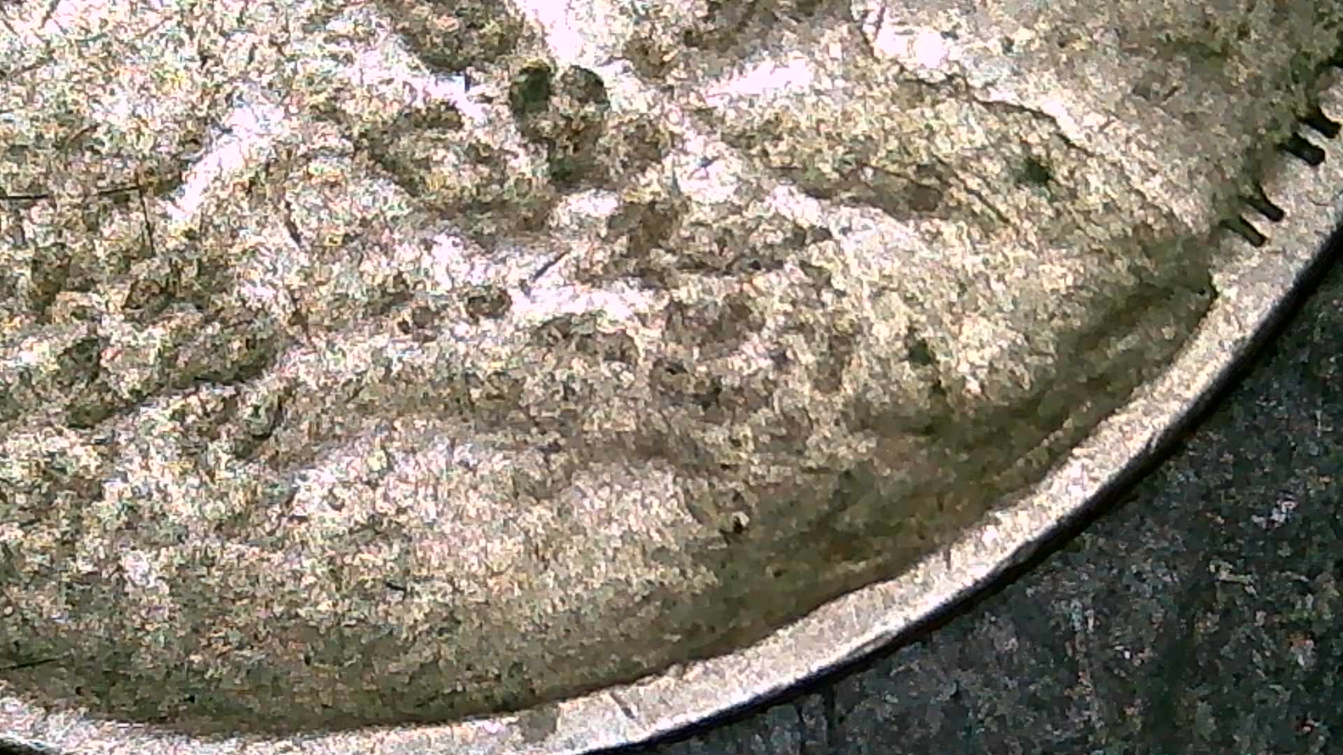 George-VI-Florin-Error-Coin---Possibly-Struck-Thru-Grease