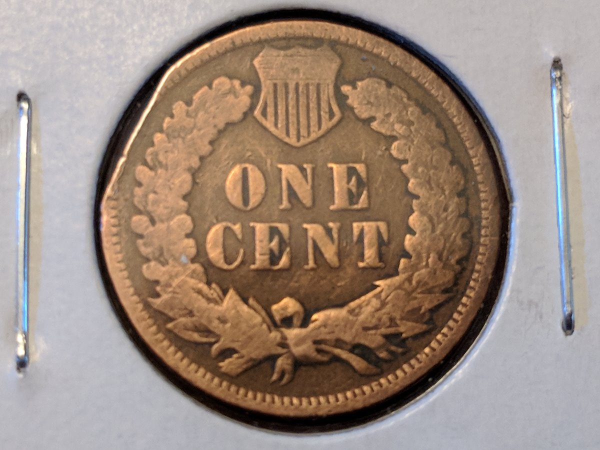 Is-This-A-Clipped-1901-Penny?