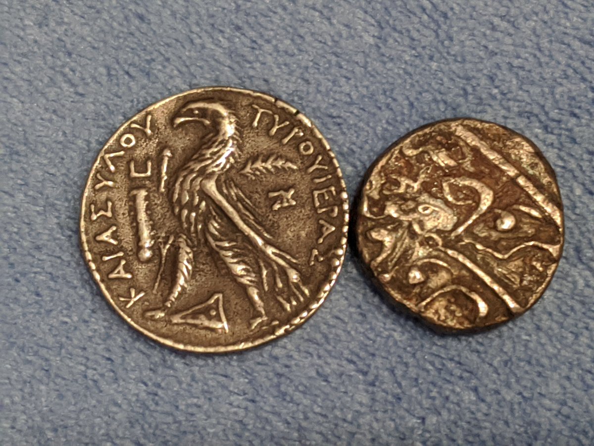 What-Are-These-Please-And-Also-Are-They-Real?