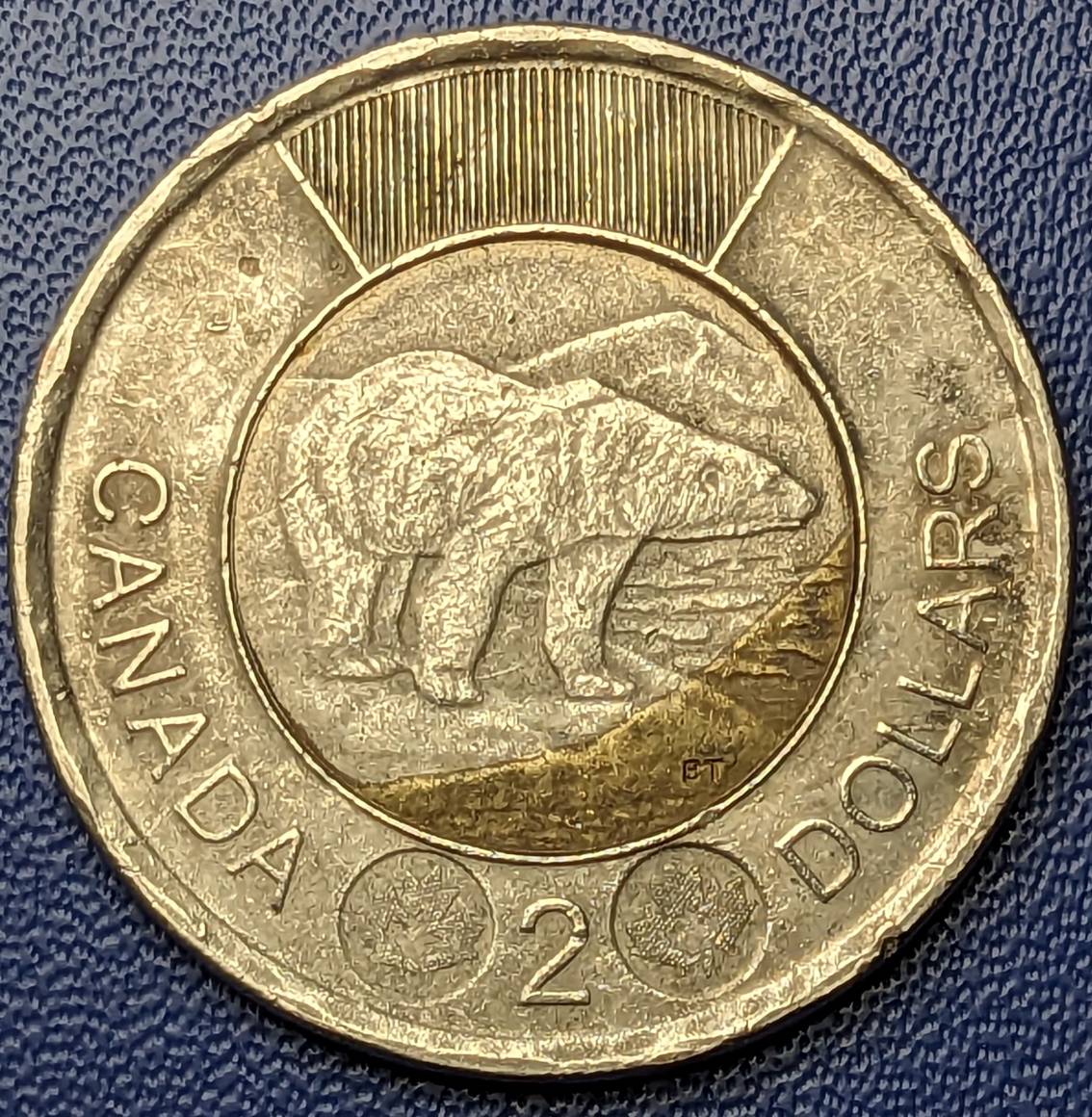 2012-Toonie---Error-Or-PMD