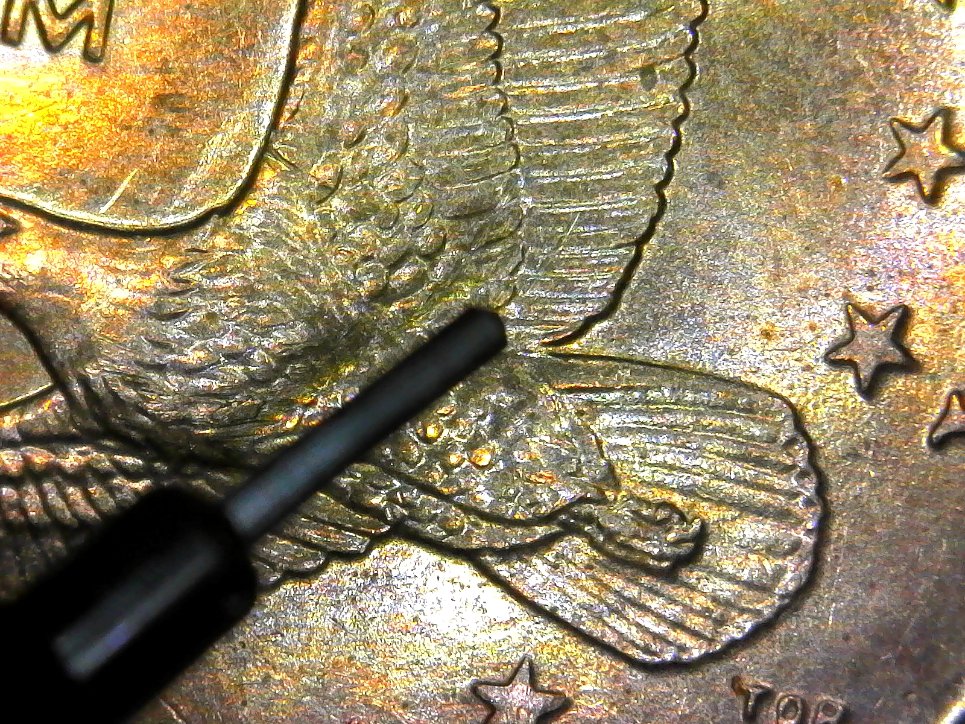 Sacagawea-Wounded-Eagle?--2000-P