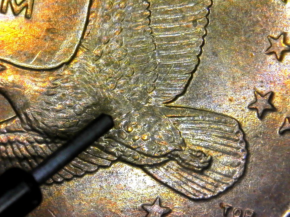Sacagawea-Wounded-Eagle?--2000-P