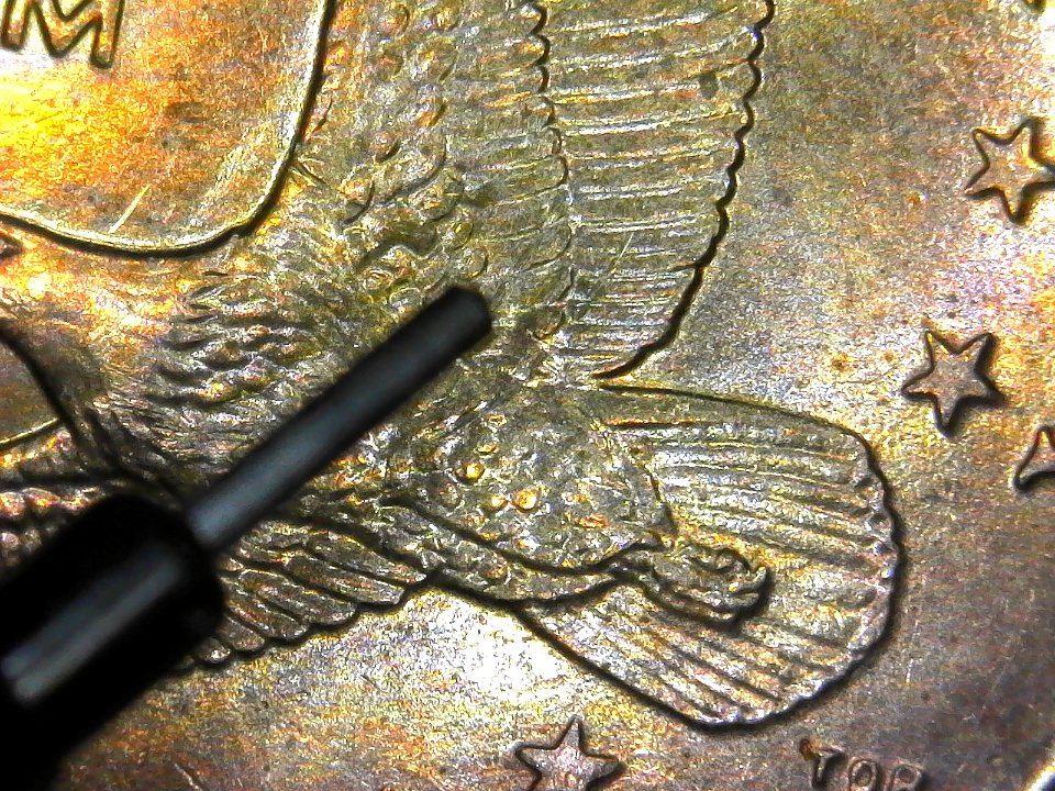 Sacagawea-Wounded-Eagle?--2000-P