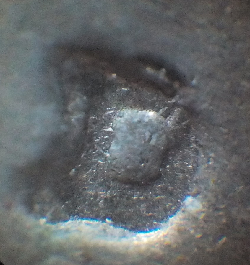 Jefferson-Nickel-1955-D-Suspicious-Mintmark