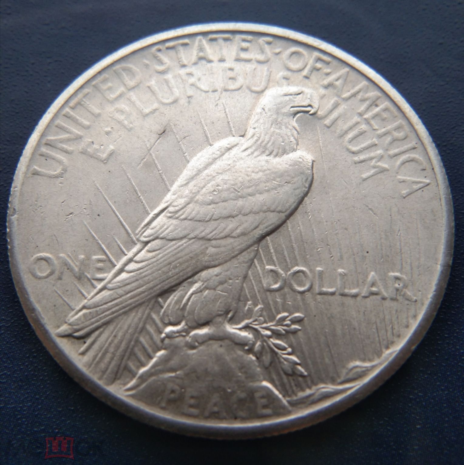 1883-CC-And-1928-Dollar---Fake-Or-Genuine?