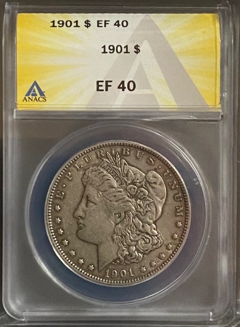 28-Days-Of-The-Morgan-Dollars-Part-5