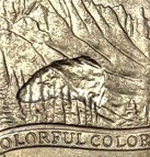 Is-This-An-Error?-2006-Colorado-Quarter