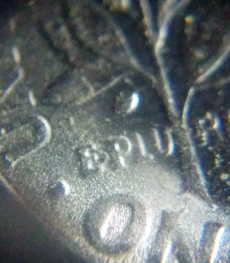 2017-D-Matte-Roosevelt-Dime?