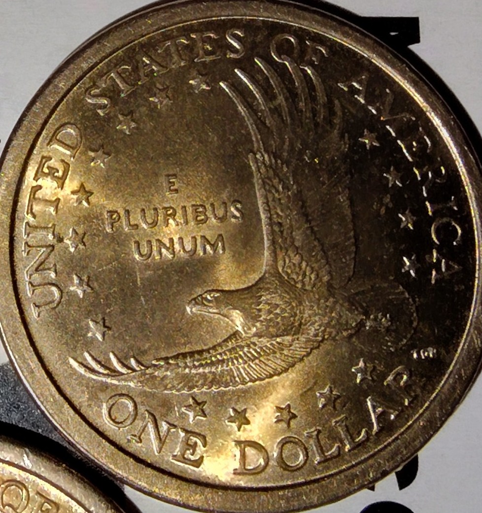 Got-5-2000-P-&-D-Sacagawea-Dollars-Looking-For-Info