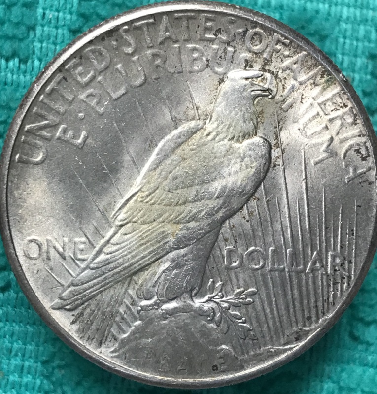1928-P-Peace-Dollar--Coin-One-Of-Two.-Grade-Request-Please