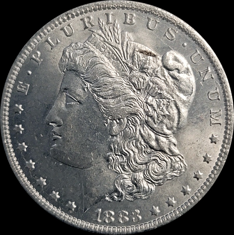 1883-O-Morgan---Could-This-Be-A-Bmp?