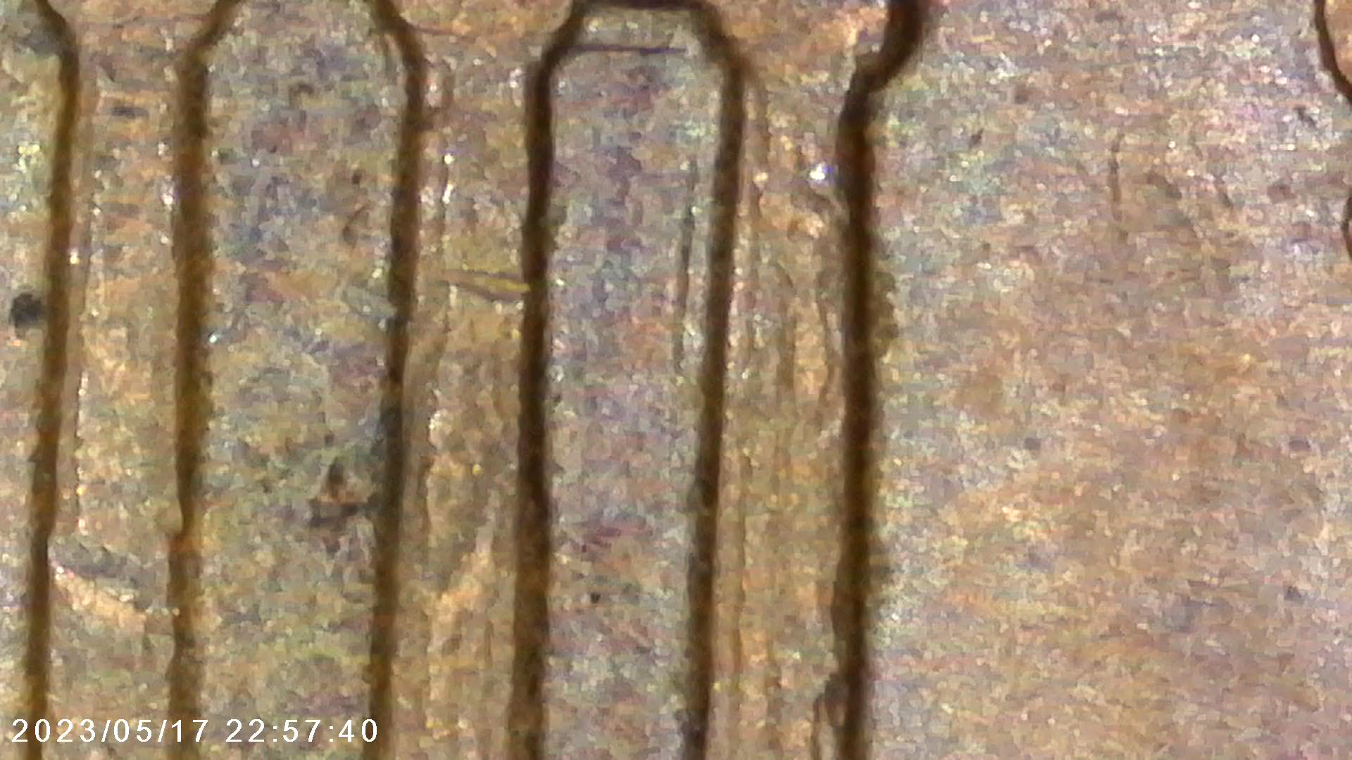 1959-D-LMC-RPM-017?---Please-Advise