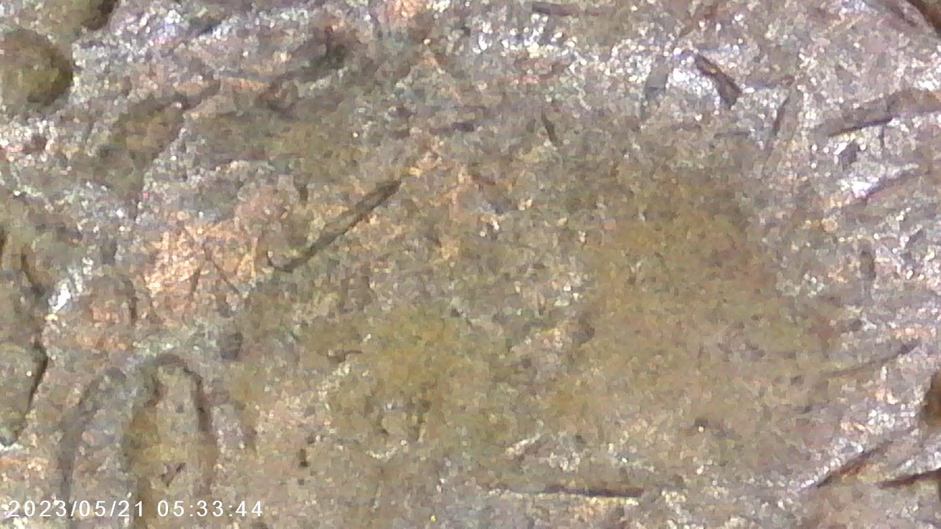 1944-D-Lincoln-Wheat-Cent-DDO-001