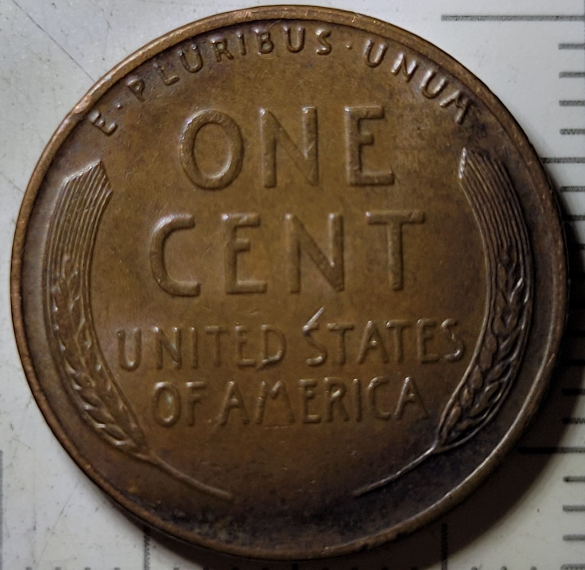 1951-D-Lincoln-Wheat-Cent-WDDO-001