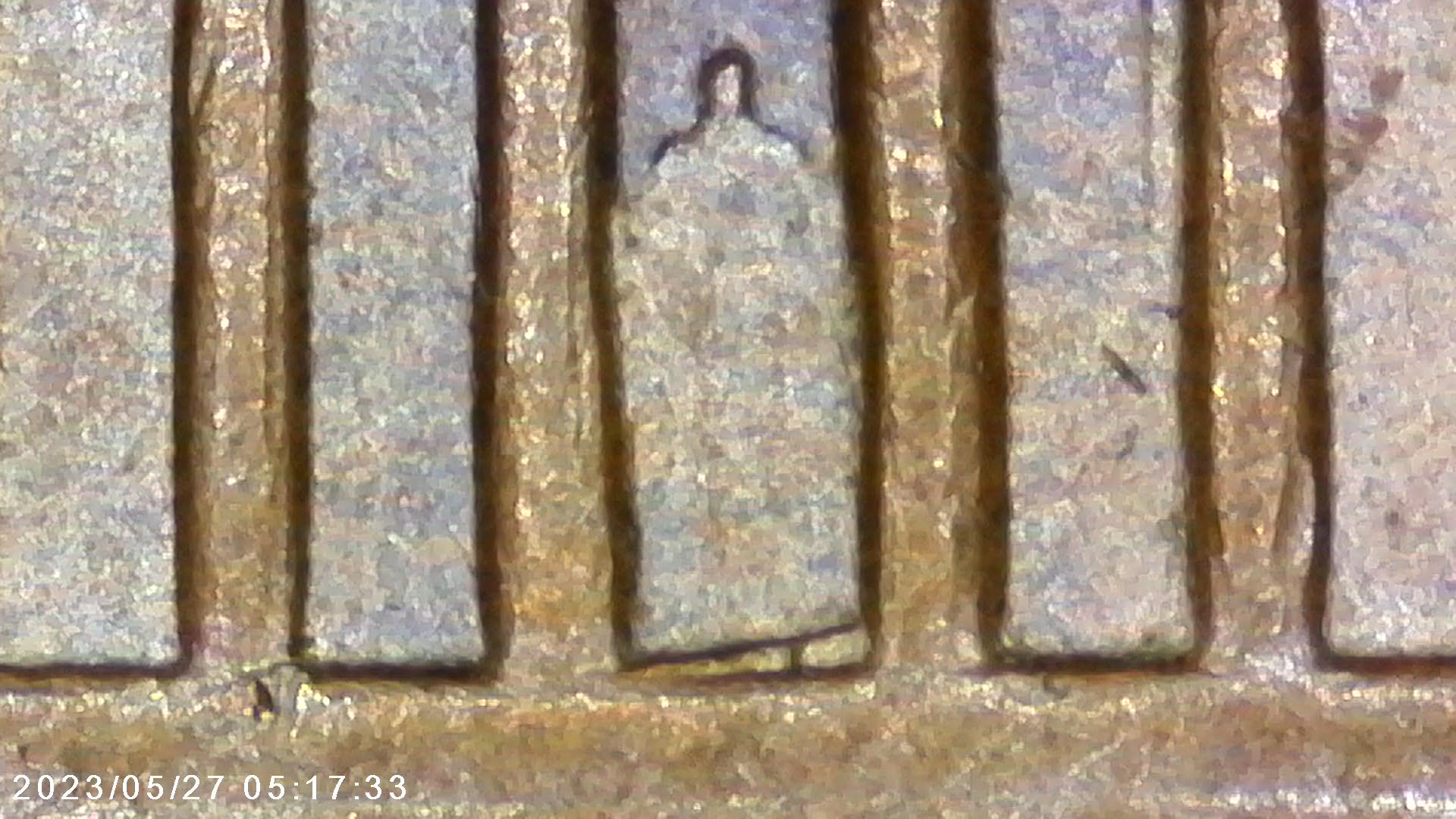 1969-D-LMC-DDR-001-Found-Tonight