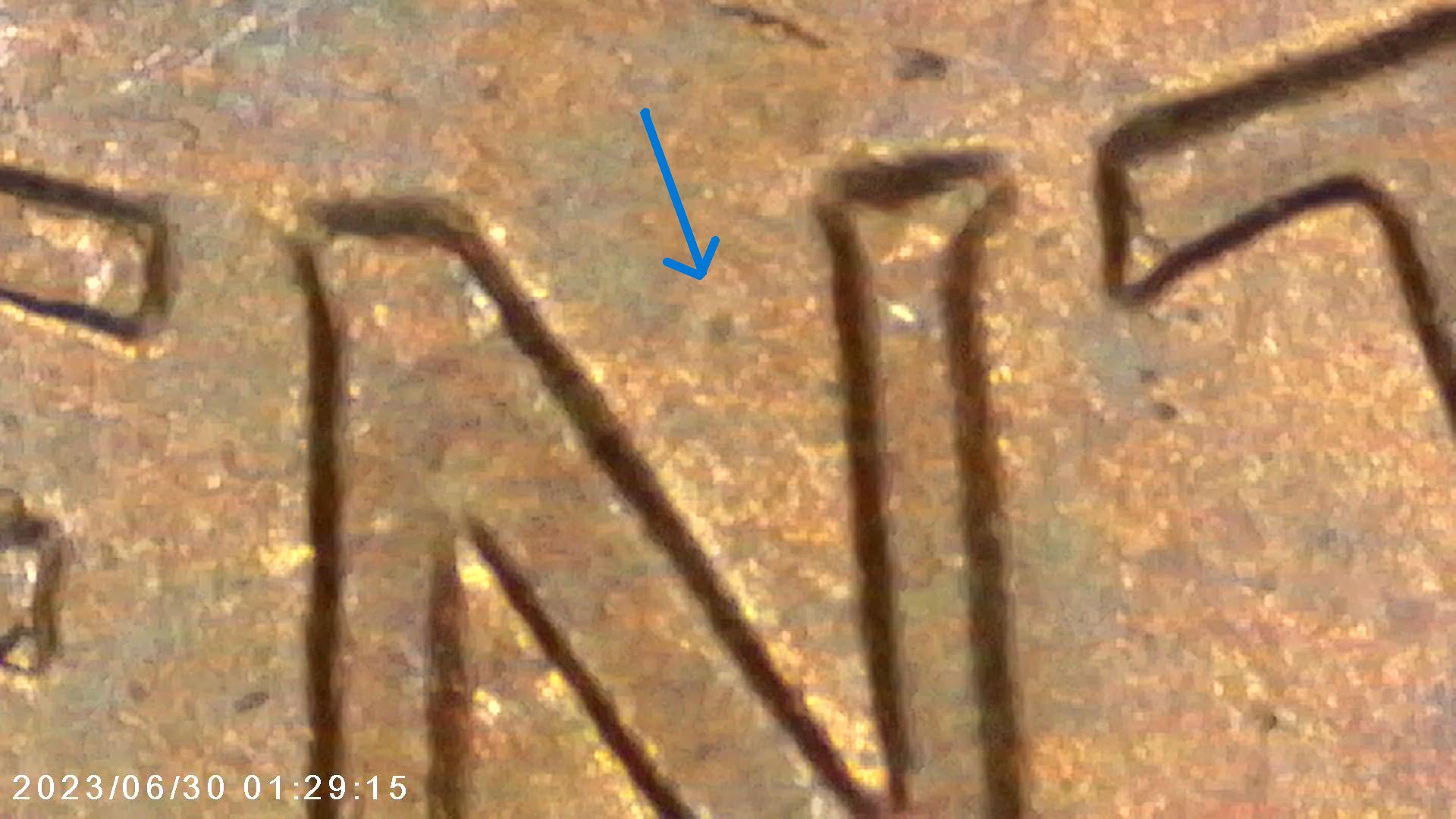 1963-Lincoln-Memorial-Cent--WDDO-005