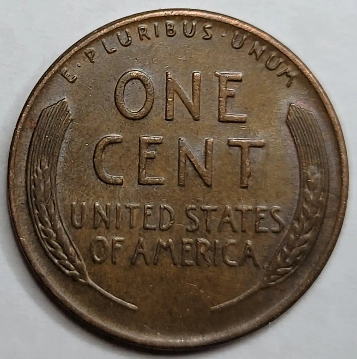 1951-LWC-D/S-OMM-001-Stage-G