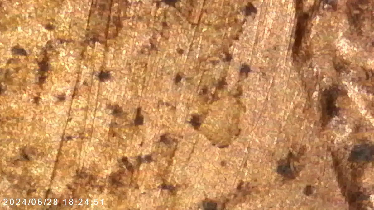 1983-LMC-DDR-001-Grade?