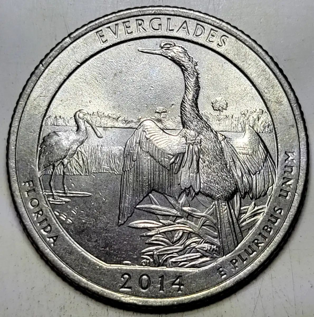 2014-P-Washington-Quarter---Fun-Die-Chip