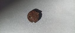 Help-With-Identfiying-Coins