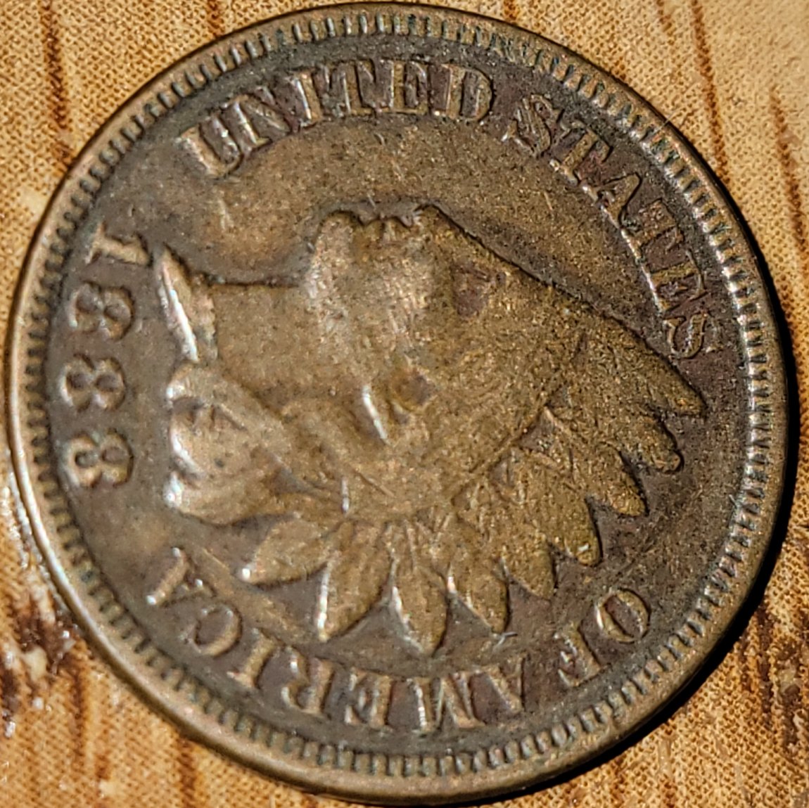 Is-This-A-Basic-1888-Indian-Head?