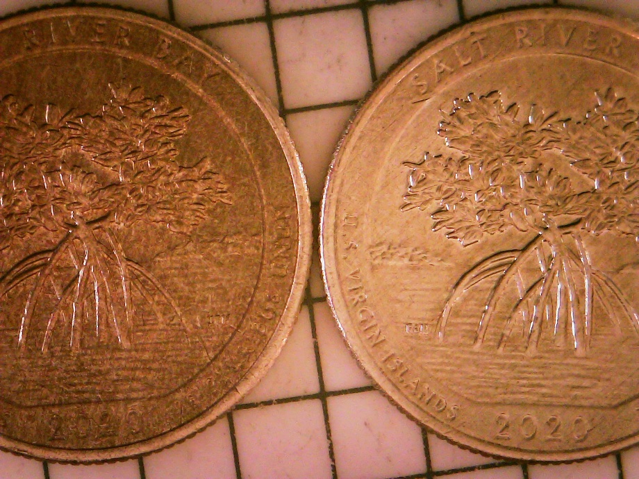 2020-D-Quarter--Salt-River-Bay---Missing-Clad-Layer?