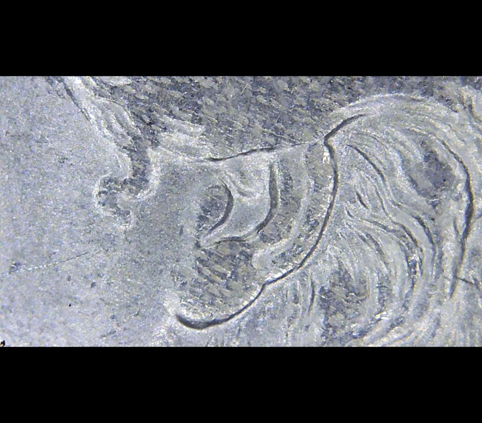 1889-P---VAM-46-Possibly?-At?