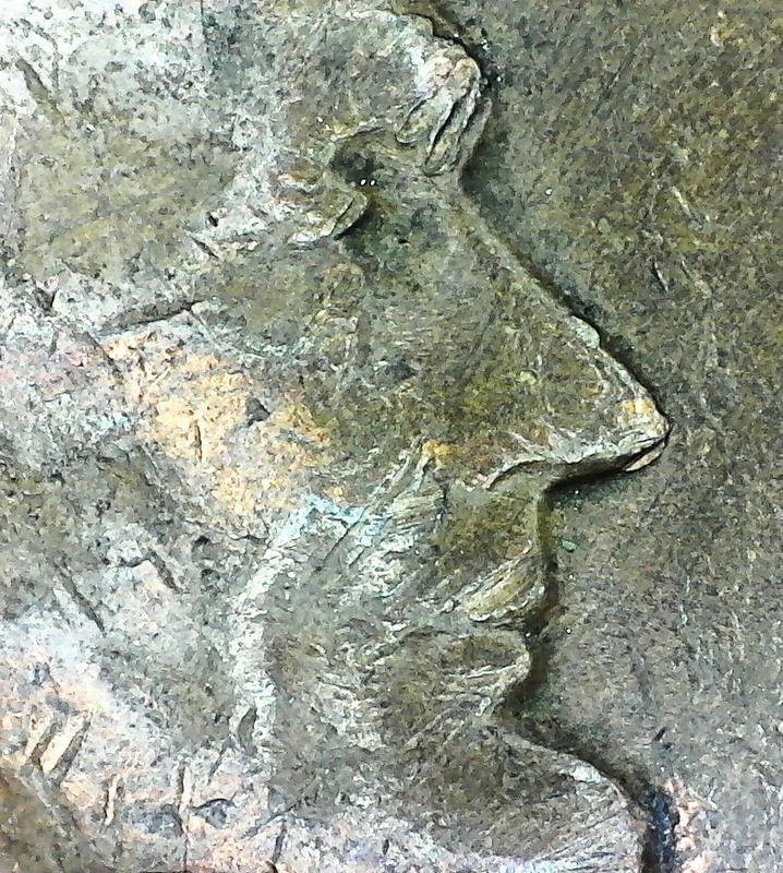 Strange-Markings-On-LWC---Overstrike?-Die-Clash?-Wild-Imagination?