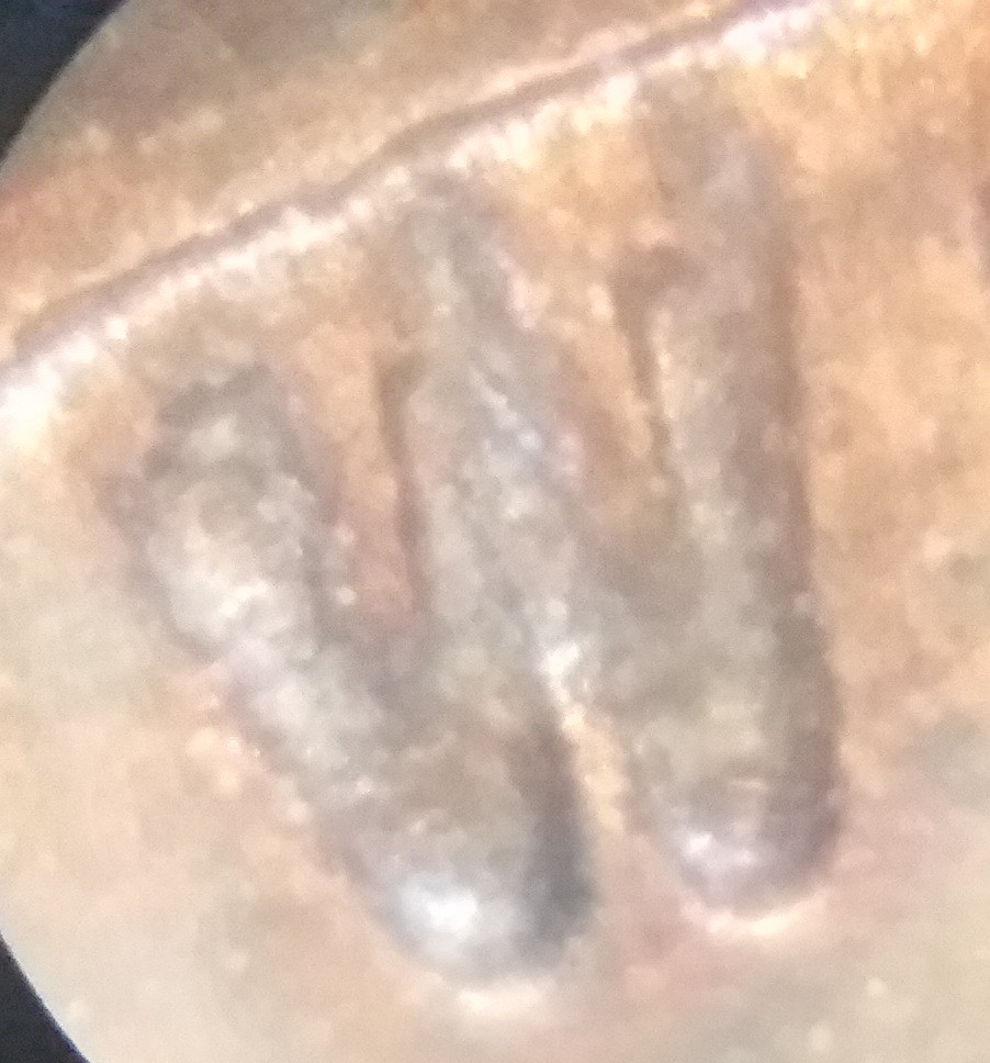 Now-This-Is-A-True-Double-Die-1955-P-Cent