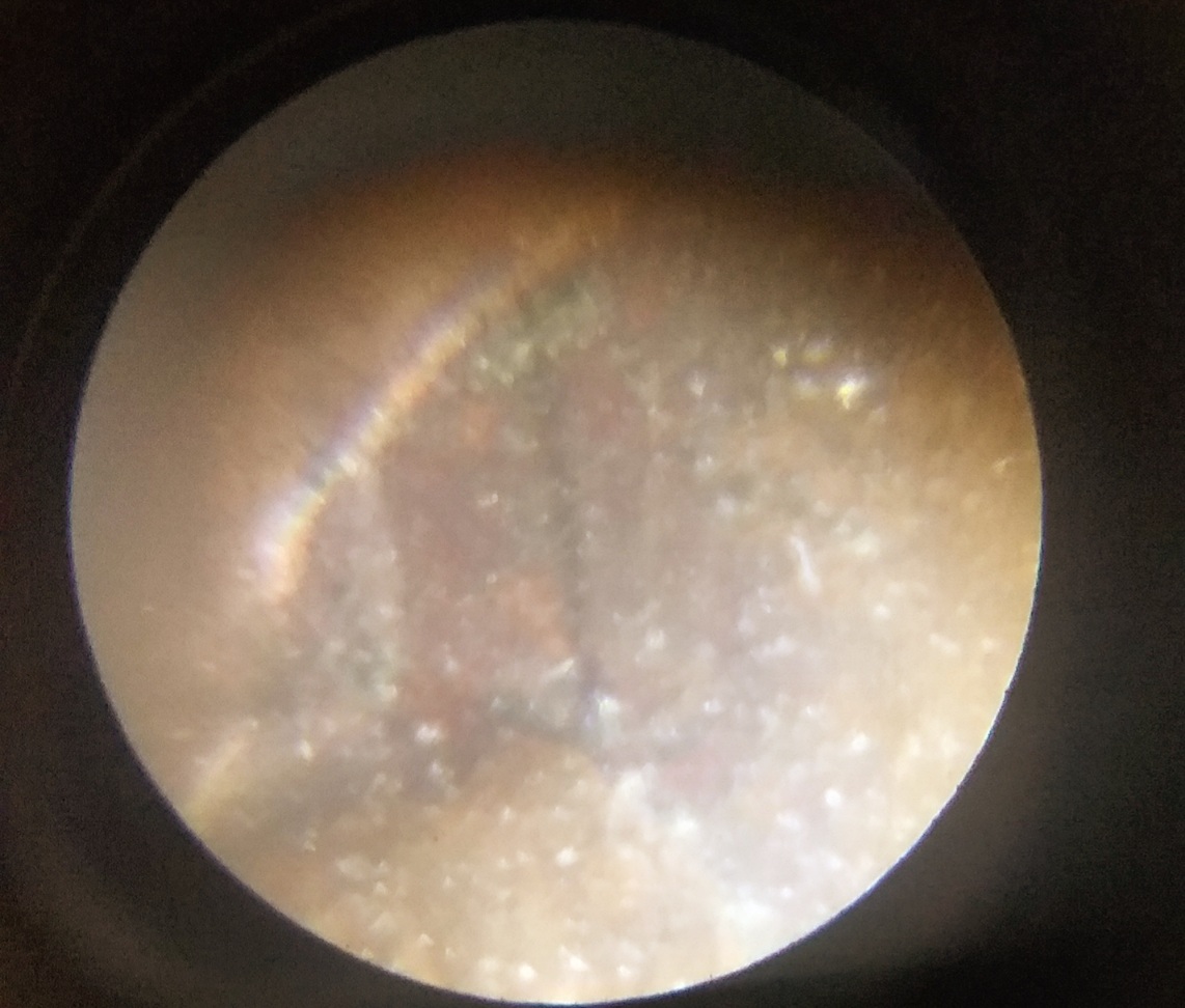 Can-Anyone-Identify-This-Coin-Please-1956-Cent