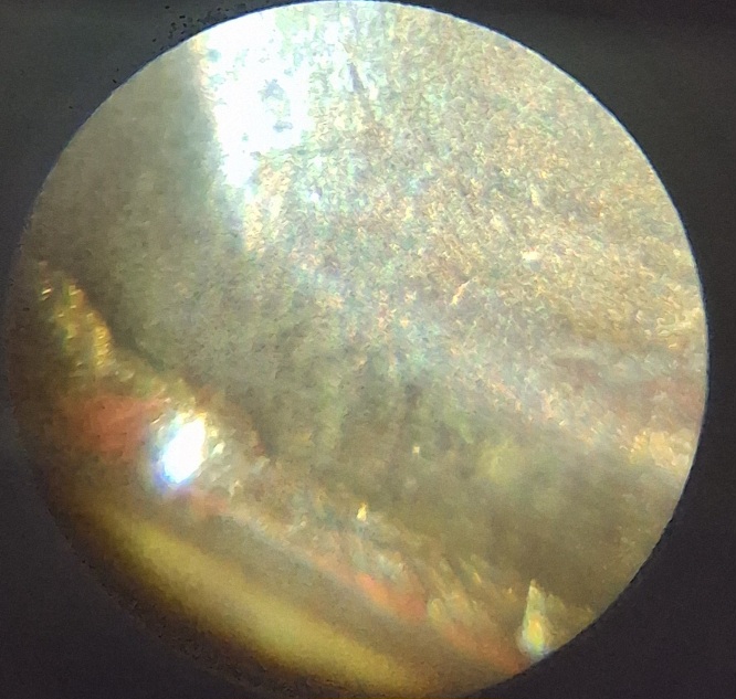 1964-P-Penny-No-VDB-At-All-Not-Faint-Not-Worn-Its-Never-Been-On-The-Coin-Even-Under-Microscope