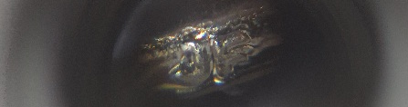 1960-Proof-Washington-Quarter-Possible-DD-On-FG-And-Some-Devices-Have-3-Lines-On-Then-Not-Sure