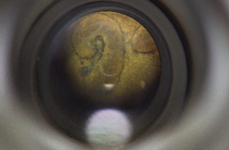 1944-Wheat-Penny-Is-This-A-Double-Die