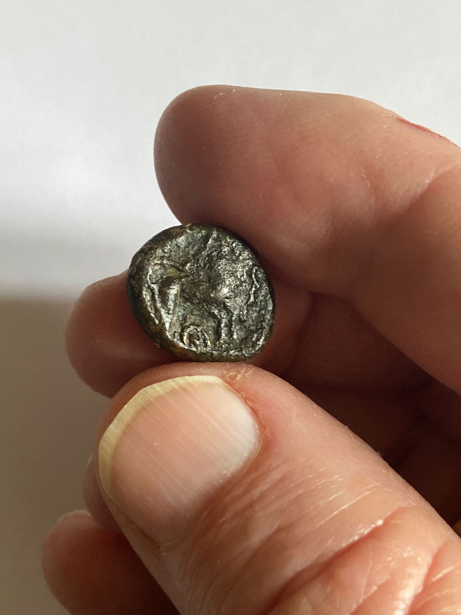 Carnutes-Nw-Gaul---Any-Help-With-A-More-Detailed-ID?