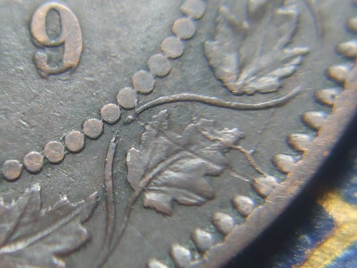 Guess-The-Haxby-1859-Large-Cent-Variety-Game