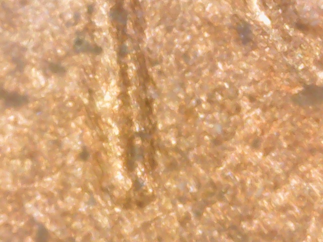 1986-D-DDO?-Found-CRH