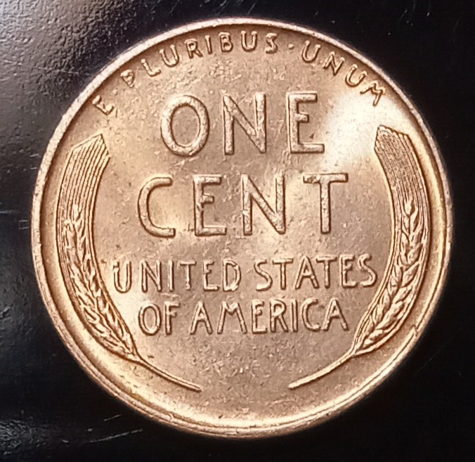 1955-D-Wheat-Penny-For-Grading!