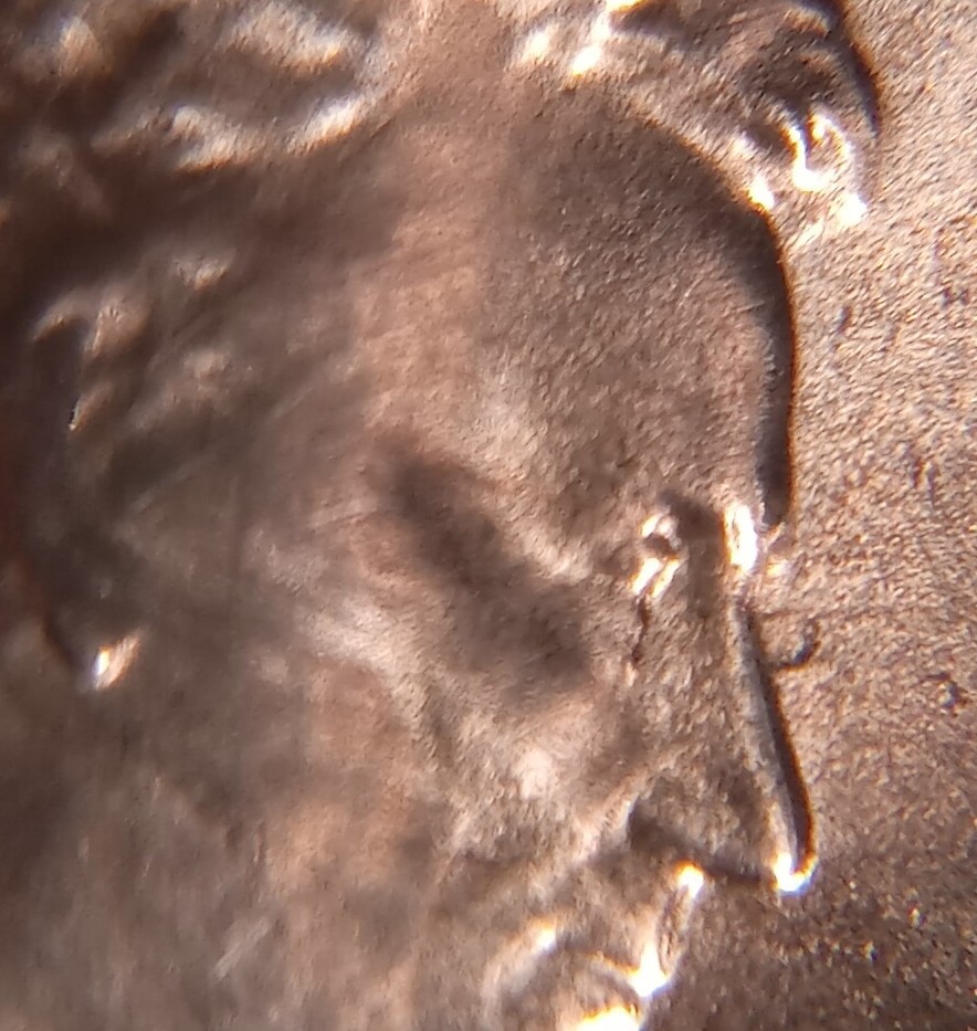 *different*-2021-D-Shield-Penny-Die-Chip?