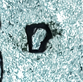 1980-P-Quarter-Never-Seen-This-One