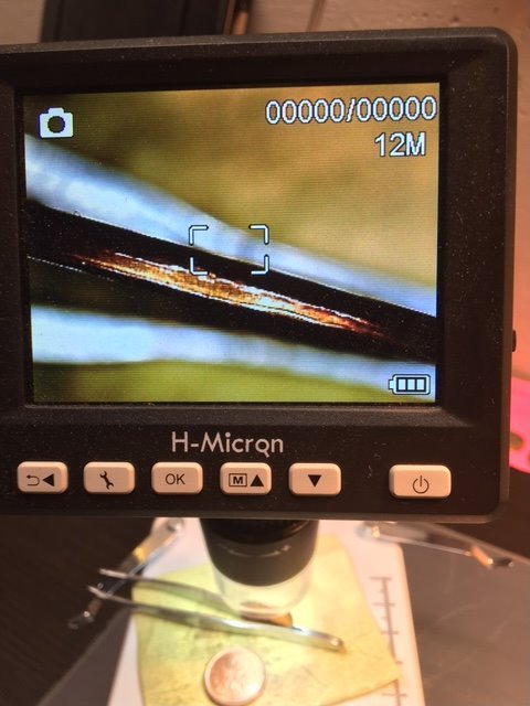 2014-D-LMC--Did-I-Just-Find-A-Capped-Die?
