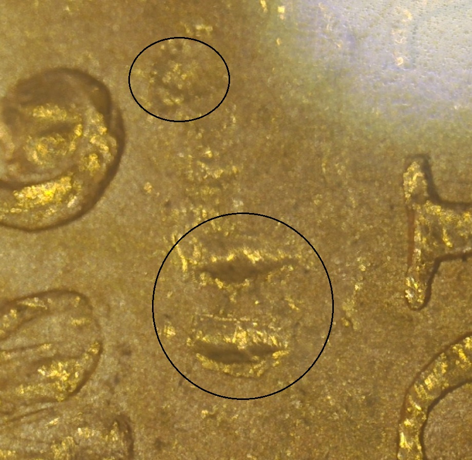 Certified-20-Dollar-Gold-Coins