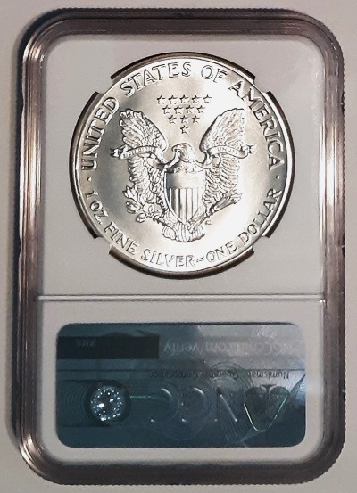 G-L-B-49's-American-Silver-Eagle-Collection