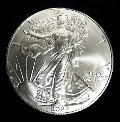 G-L-B-49's-American-Silver-Eagle-Collection