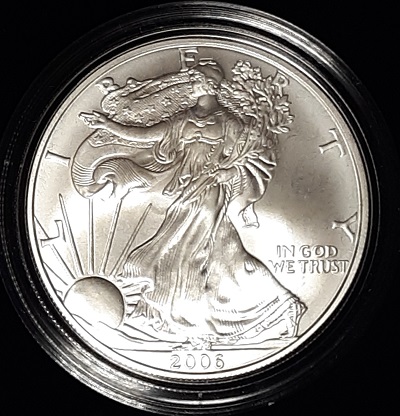 G-L-B-49's-American-Silver-Eagle-Collection