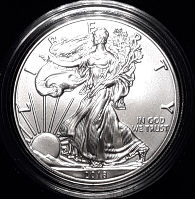 G-L-B-49's-American-Silver-Eagle-Collection