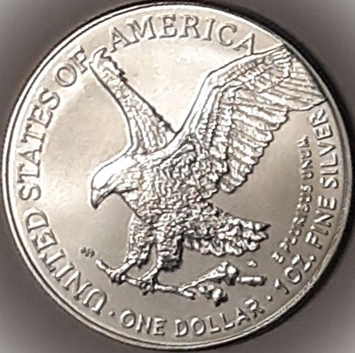 G-L-B-49's-American-Silver-Eagle-Collection