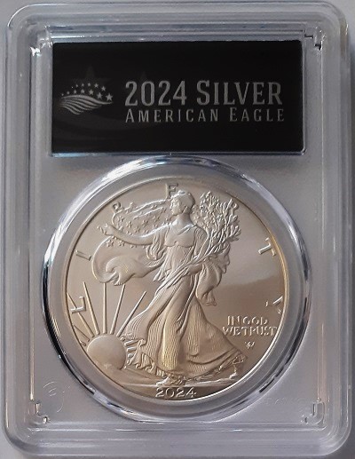 G-L-B-49's-American-Silver-Eagle-Collection