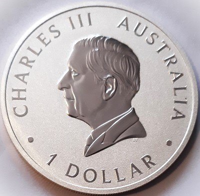 Post-Your-Bird-Coins