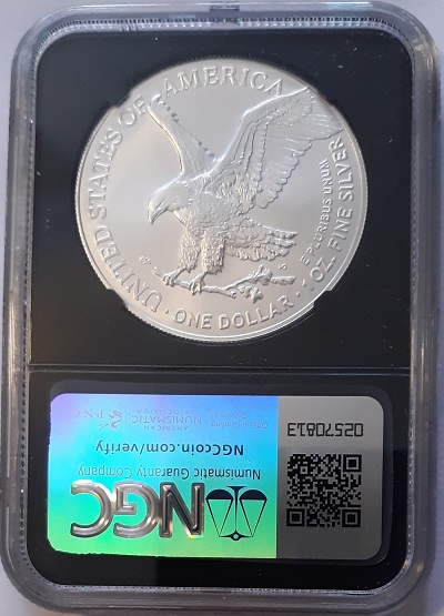G-L-B-49's-American-Silver-Eagle-Collection