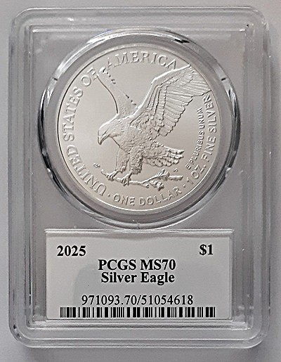G-L-B-49's-American-Silver-Eagle-Collection